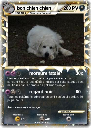 Pokemon bon chien chien