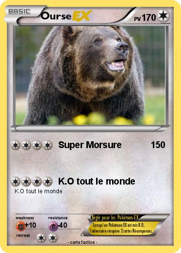 Pokemon Ourse