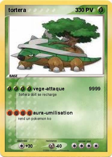 Pokemon tortera                                3