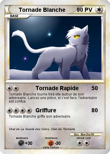 Pokemon Tornade Blanche