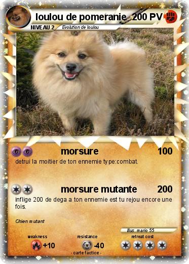 Pokemon loulou de pomeranie