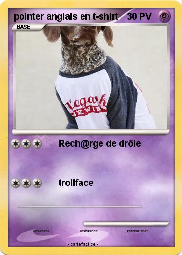 Pokemon pointer anglais en t-shirt