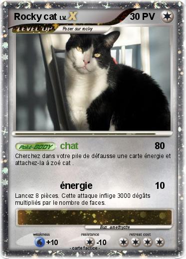 Pokemon Rocky cat