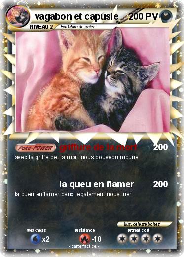 Pokemon vagabon et capusle