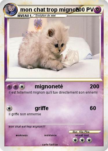 Pokemon mon chat trop mignon
