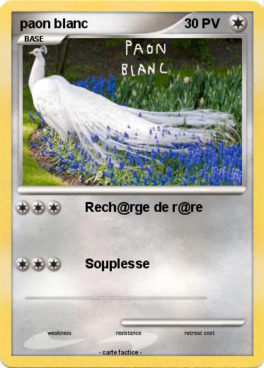 Pokemon paon blanc