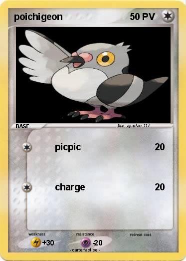 Pokemon poichigeon