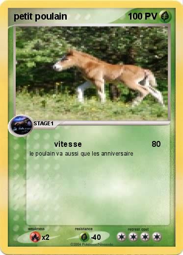 Pokemon petit poulain