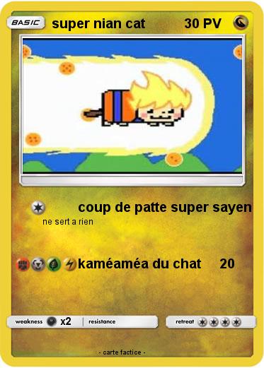 Pokemon super nian cat