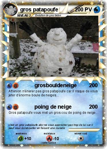 Pokemon gros patapoufe