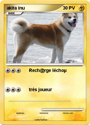 Pokemon akita inu