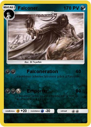 Pokemon Falconer