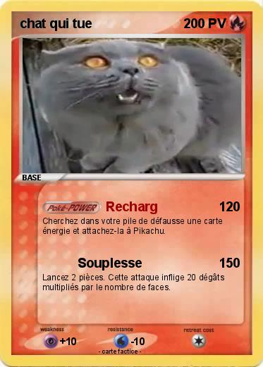 Pokemon chat qui tue