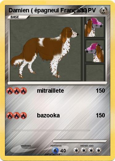 Pokemon Damien ( épagneul Français )