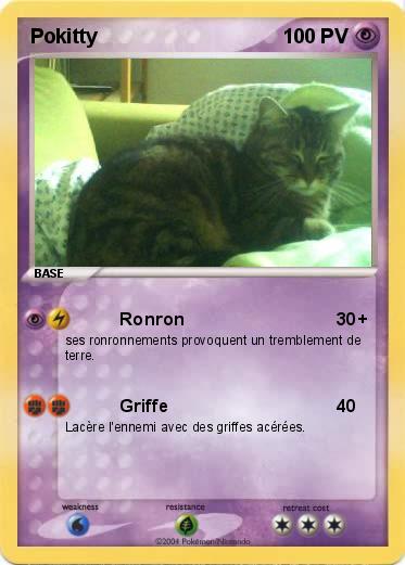 Pokemon Pokitty
