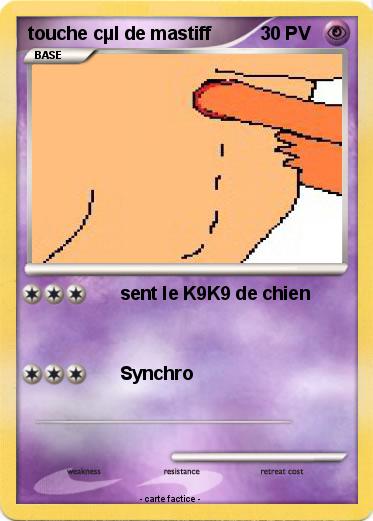 Pokemon touche cµl de mastiff