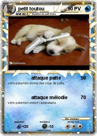 Pokemon petit toutou