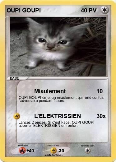 Pokemon OUPI GOUPI