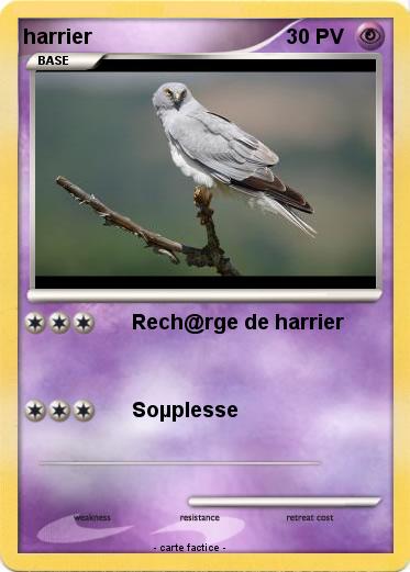 Pokemon harrier