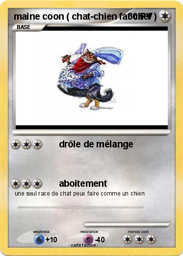 Pokemon maine coon ( chat-chien fat chef )