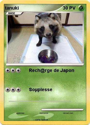 Pokemon tanuki
