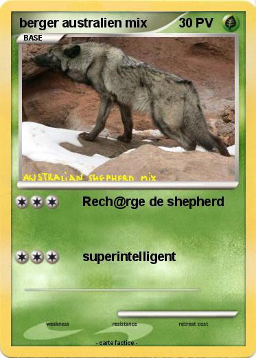 Pokemon berger australien mix