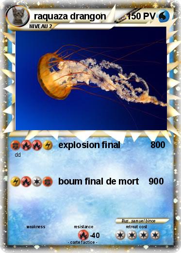 Pokemon raquaza drangon