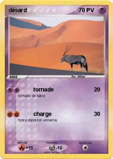 Pokemon désard