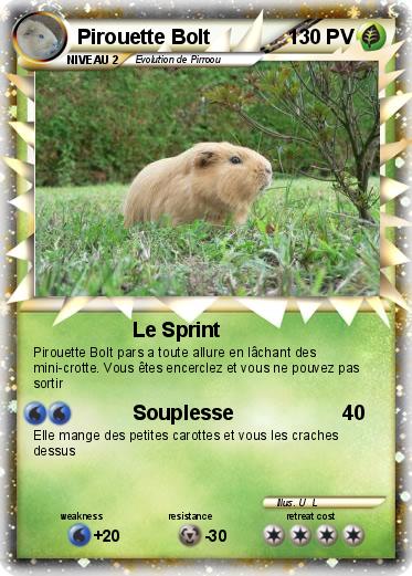 Pokemon Pirouette Bolt