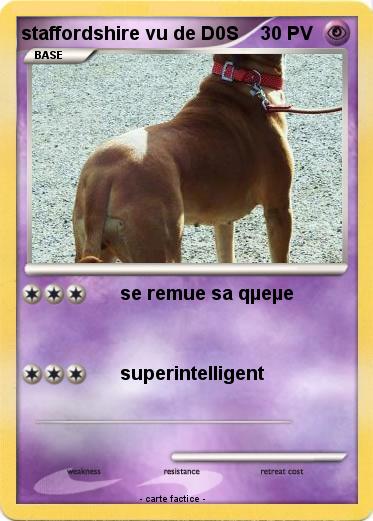 Pokemon staffordshire vu de D0S