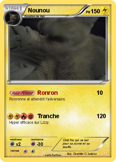Pokemon Nounou