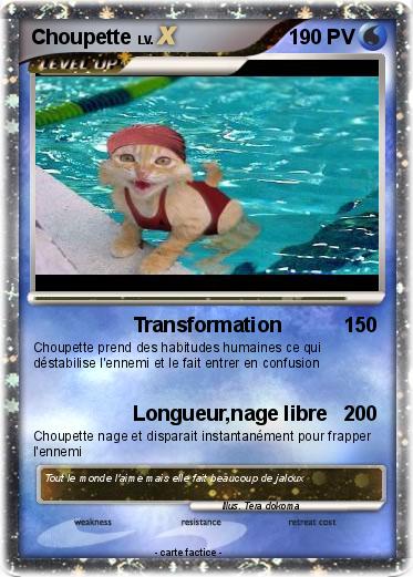 Pokemon Choupette