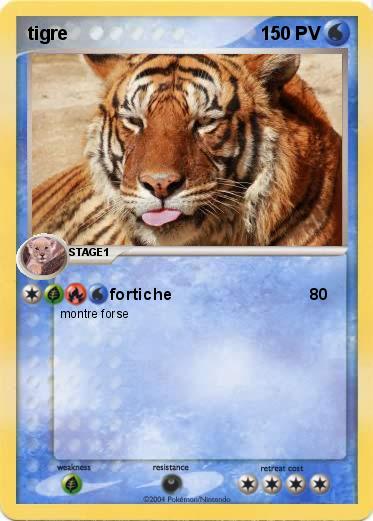 Pokemon tigre