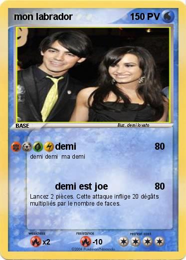 Pokemon mon labrador