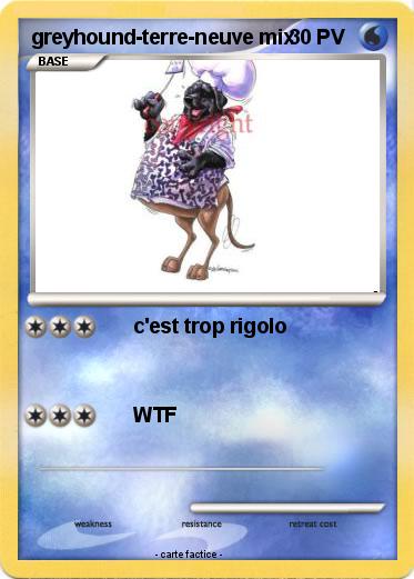 Pokemon greyhound-terre-neuve mix