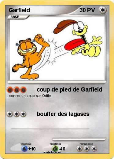 Pokemon Garfield