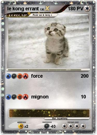 Pokemon le kong errant