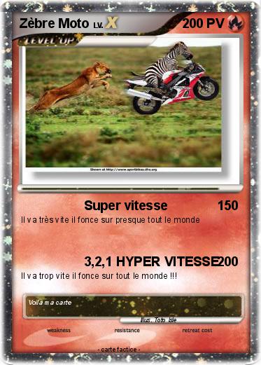 Pokemon Zèbre Moto
