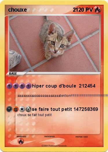 Pokemon chouxe                               2
