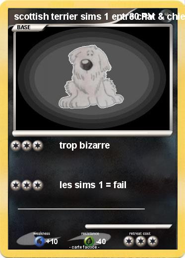 Pokemon scottish terrier sims 1 entre chat & chien