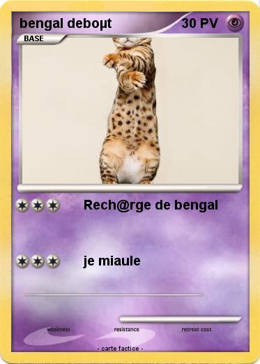 Pokemon bengal deboµt
