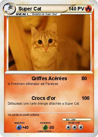 Pokemon Super Cat