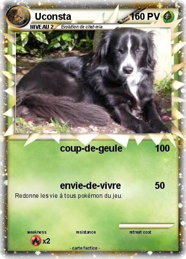 Pokemon Uconsta