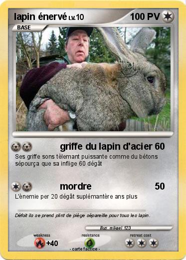 Pokemon lapin énervé
