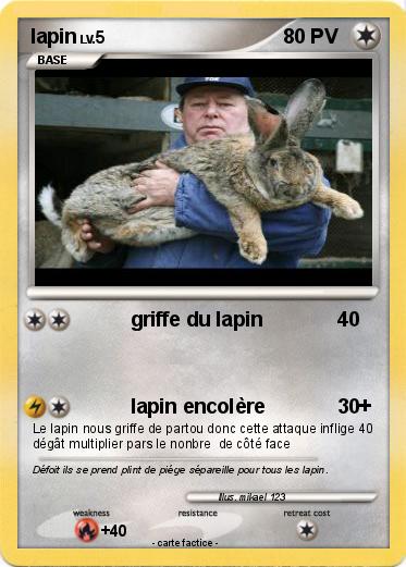 Pokemon lapin