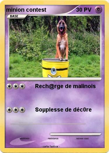 Pokemon minion contest