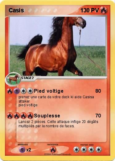 Pokemon Casis