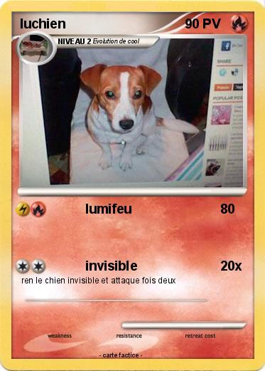 Pokemon luchien