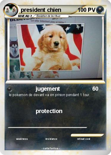 Pokemon president chien
