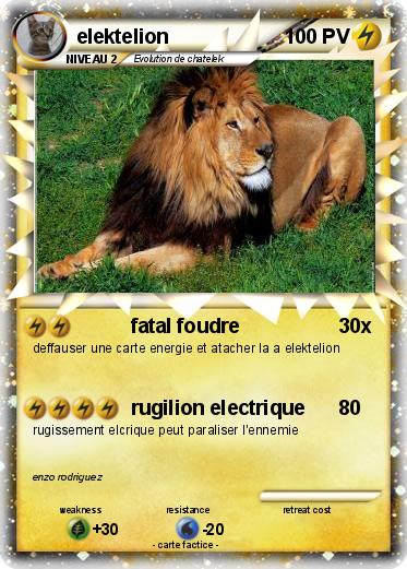 Pokemon elektelion